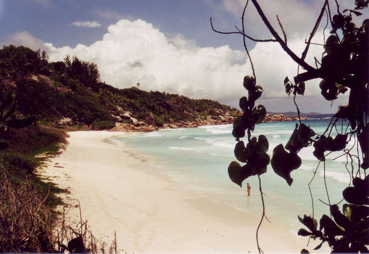 Seychelles 4.jpg