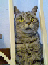 Benutzeravatar