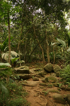 Jardin du Roi.jpg