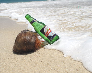 Seybrew.jpg