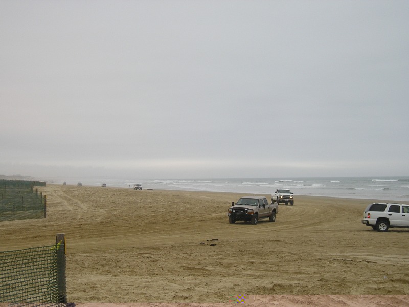 P4290064_k.JPG