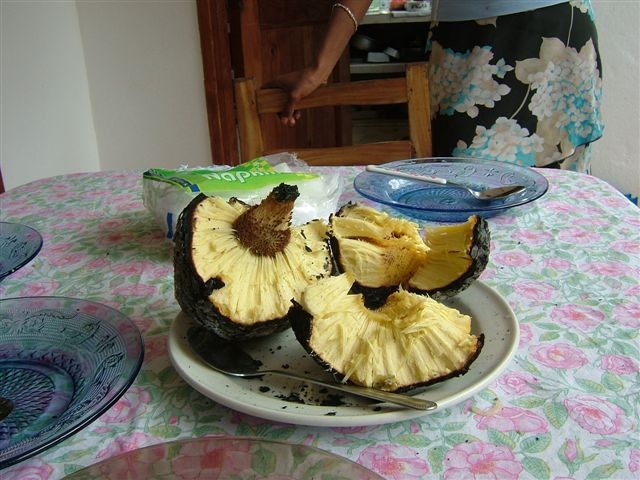 Brotfrucht.JPG