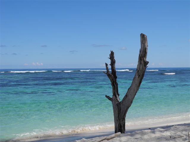 Seychellen_2_023.jpg